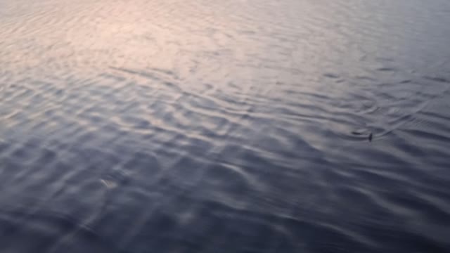 Water Scenario
