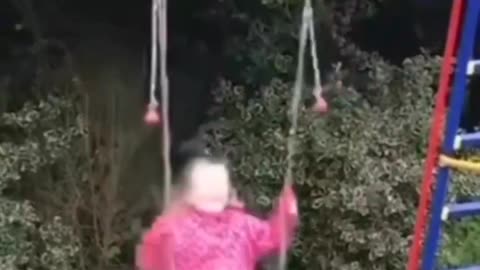Animal hit funn