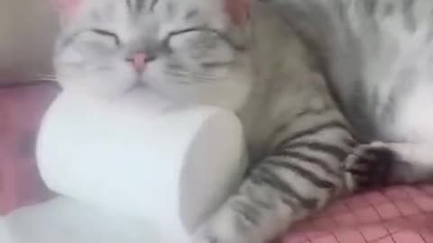 The BEST CUTE AND FUNNY ANIMAL VIDEOS OF 2023