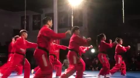 Taekwondo