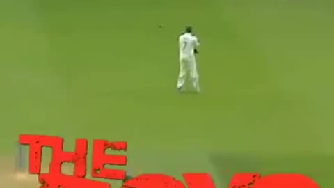 Funny videos of cricket