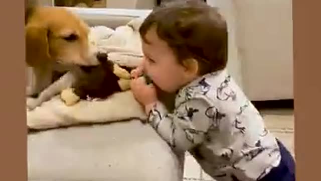 Different childhood companionship