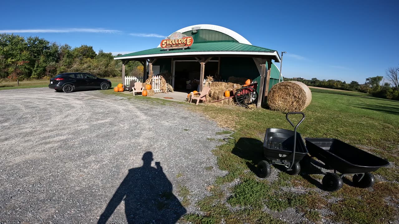 🥔🥕🍓 Welcome To Shouldice Berry Farm Market In Ottawa 🍌🍍🍊🍉🍈🍇🍋‍🟩 Support Your Local Famer 🍅🍆🫑 HealthyFood4Life 🥒🥜🫛