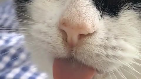 🤪