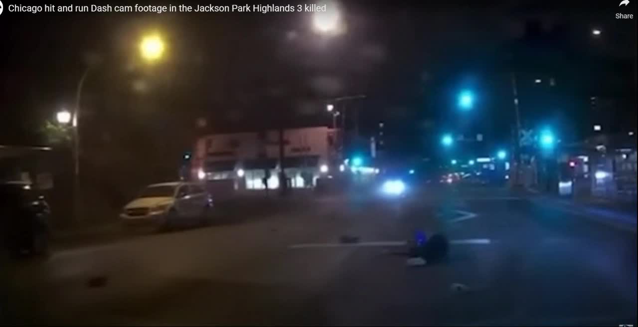 in Chicago driver hit and run several black people