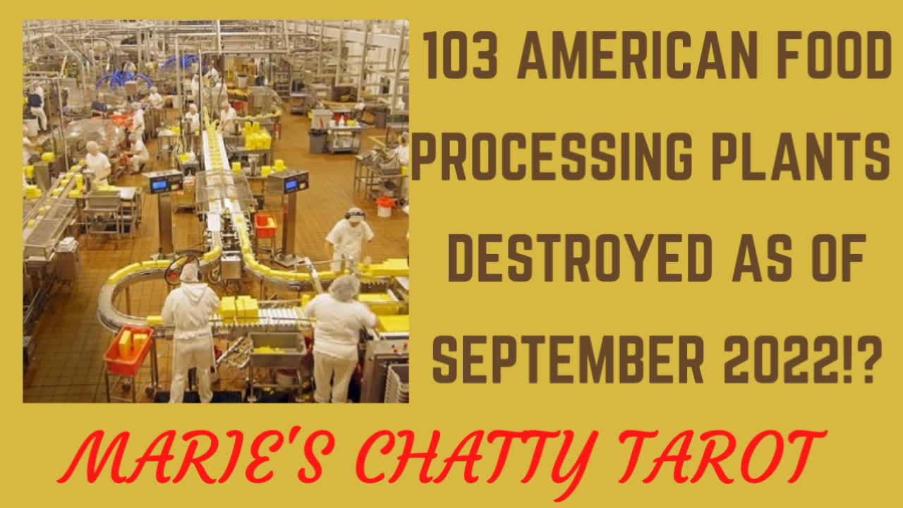 Let's Chat About The Number American Food Processing Plants Destroyed As of September 2022?!