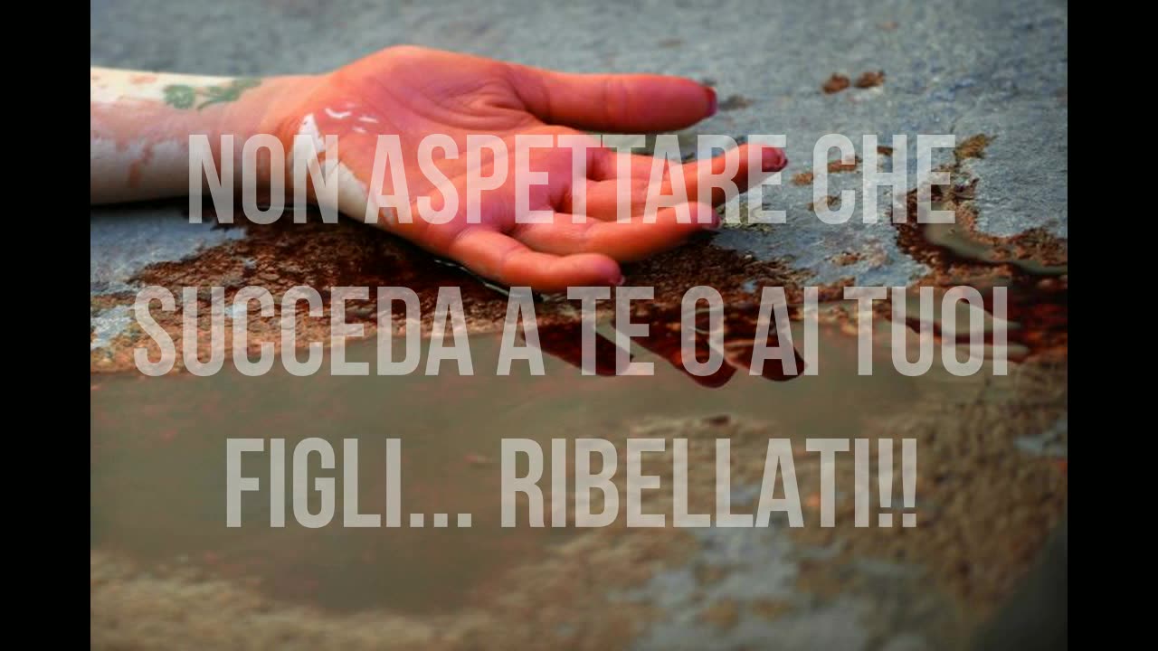 SHOCK IPNOTICO - CANI + SCIE + RAPIMENTI