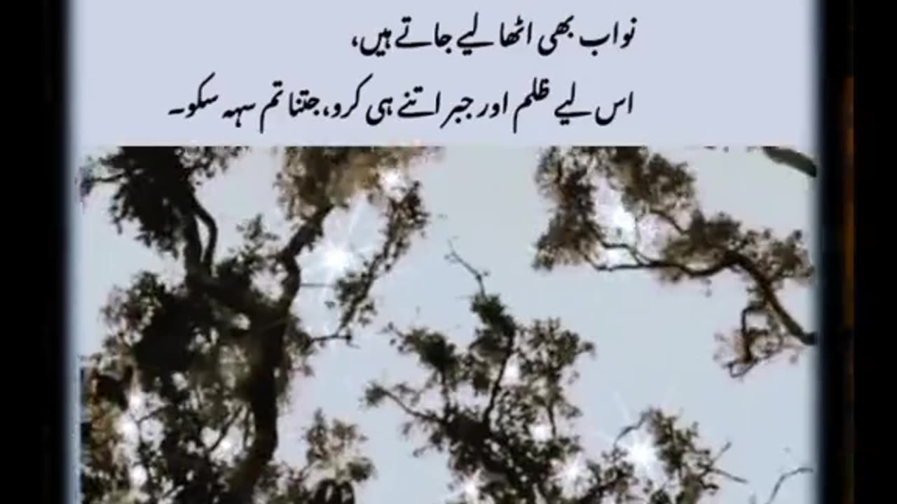 Leopard save child
