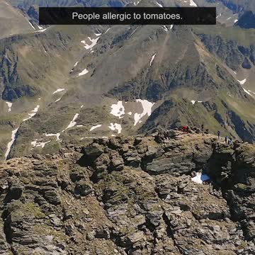 What should be illegal to put ketchup on?