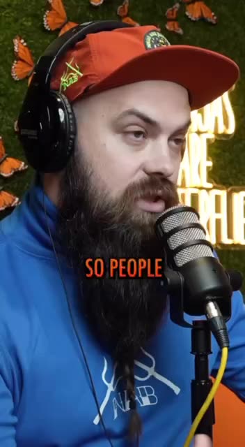 That airplane lady is not real.