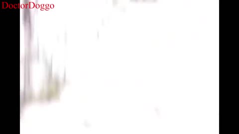 Girl Flying in the Air WITCH or BLack Magic !!! ?