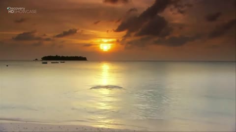 Best place for relaxation
