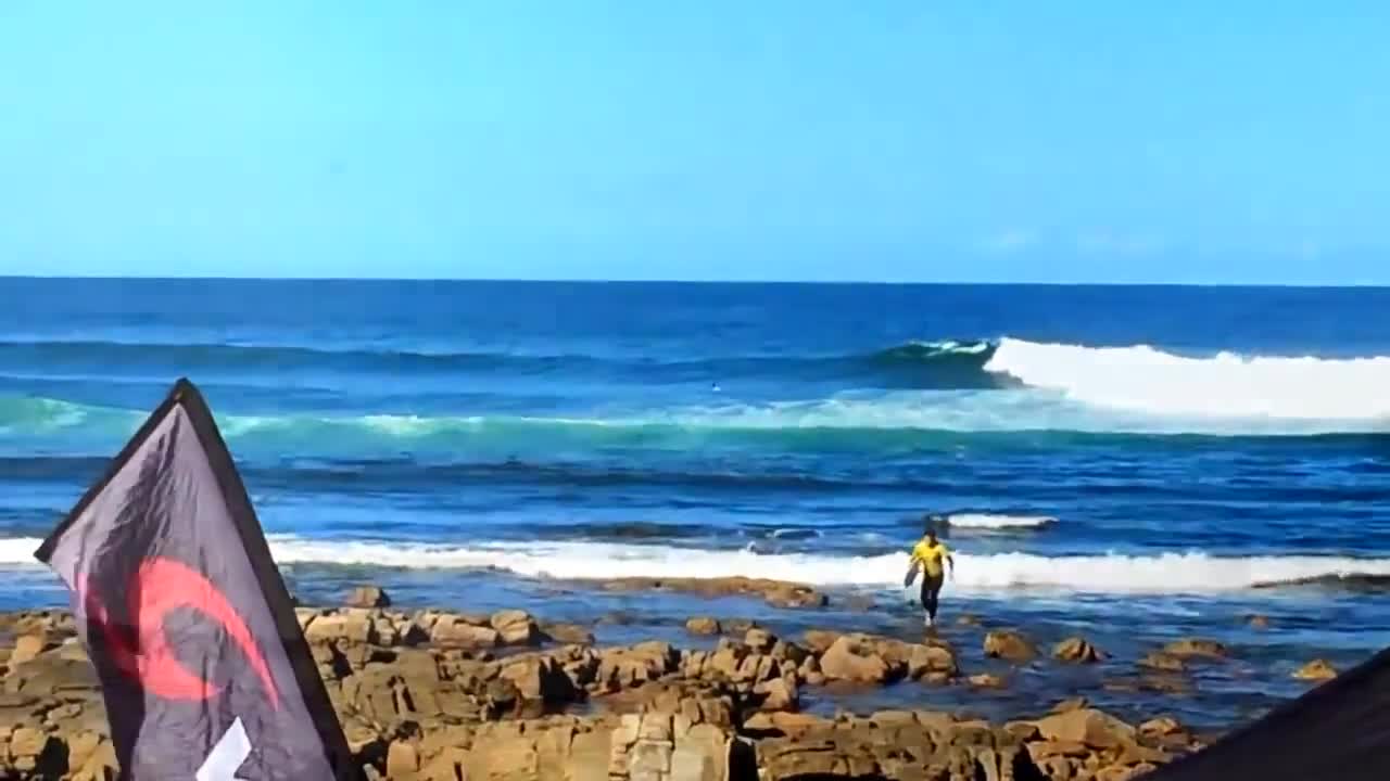 Playful dolphin bumps surfer off his board