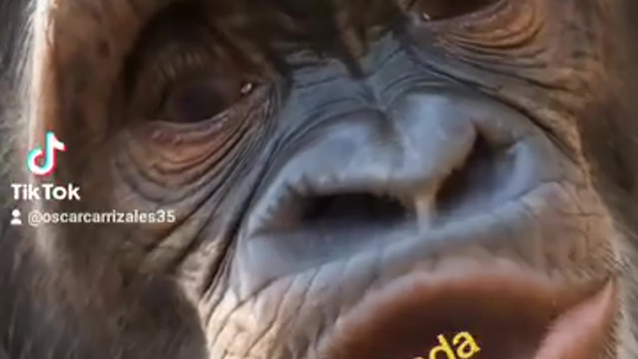 Tenerla tan grande...