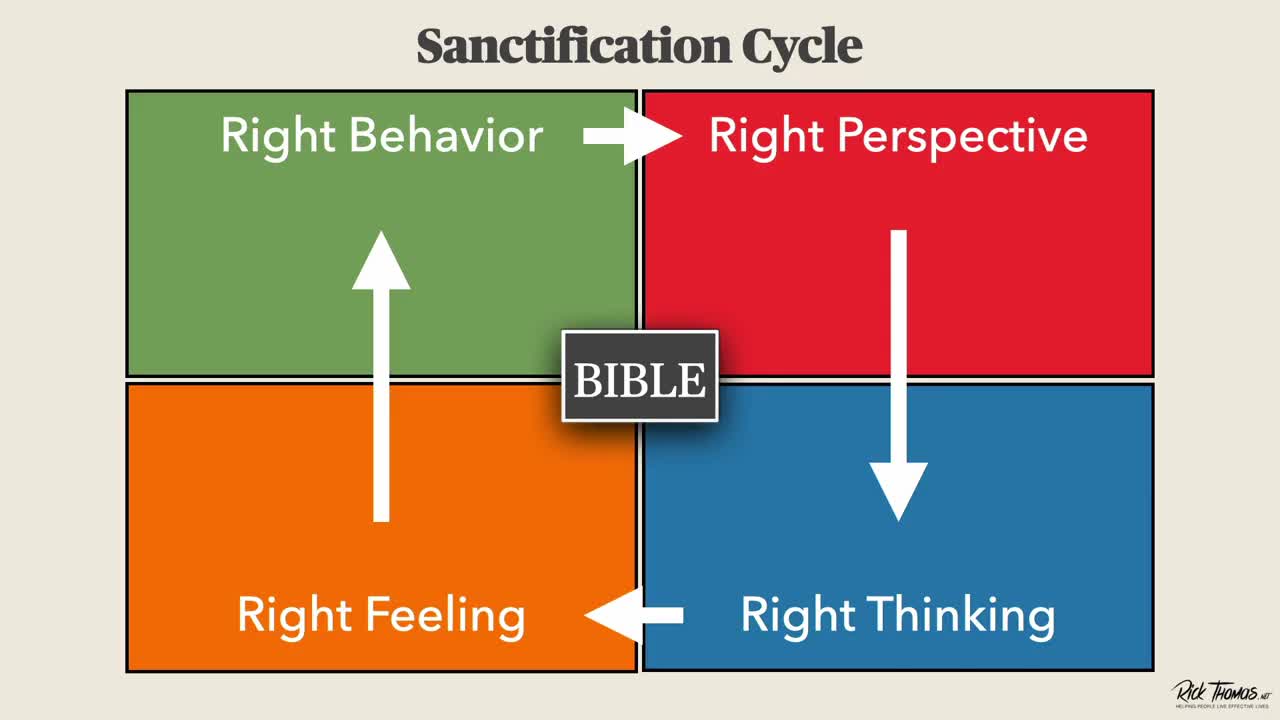 The Disorders Collection: Sanctification Cycle