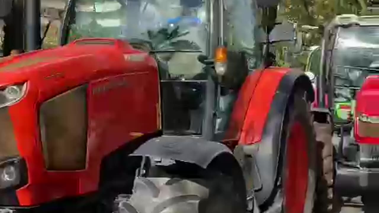 Los agricultores han tomado hoy las calles del centro de Palma de Mallorca Febrero 2024