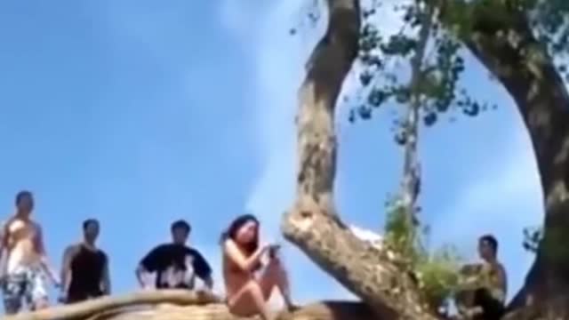 did not fly
