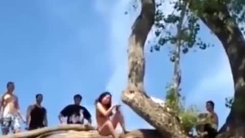 did not fly