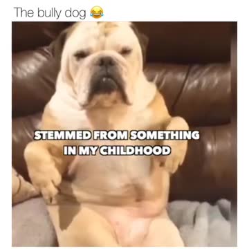 Dog says no to trash