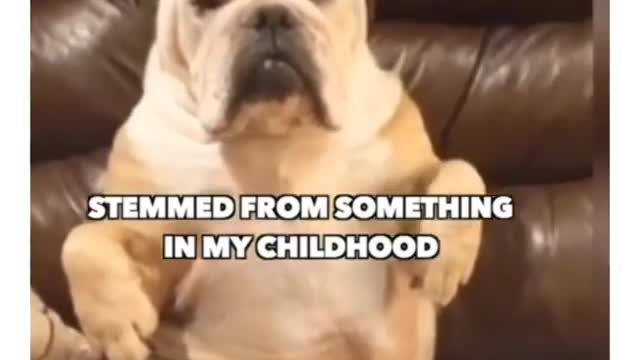 Dog says no to trash