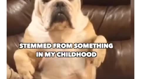 Dog says no to trash