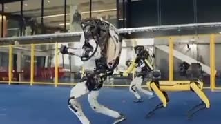 Boston Dynamics Terminator Bot Evolution 2009-2022