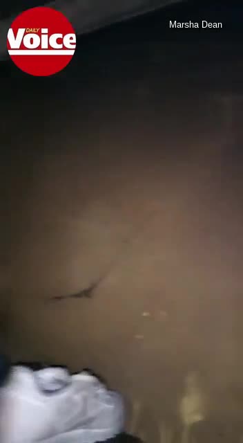 Mom, Five kids left homeless: Unemployed Delft family lose alles in devastating blaze