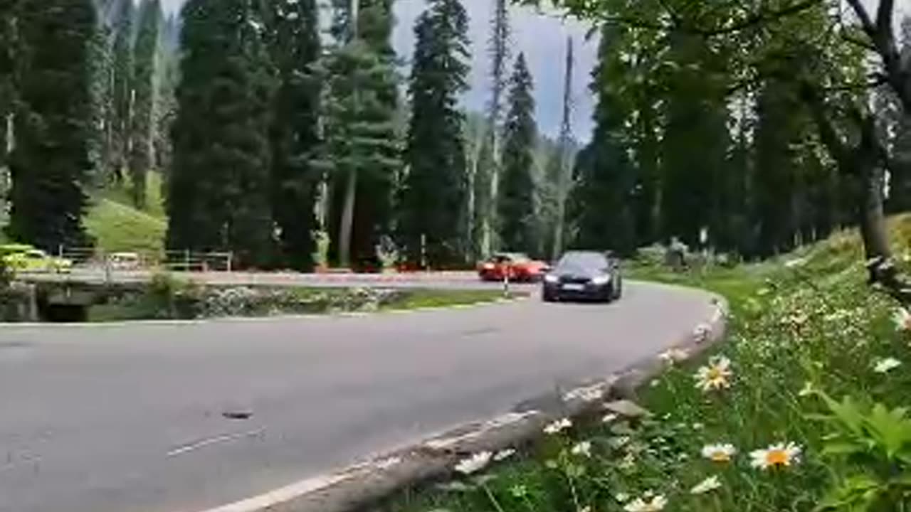 Gulmarg race