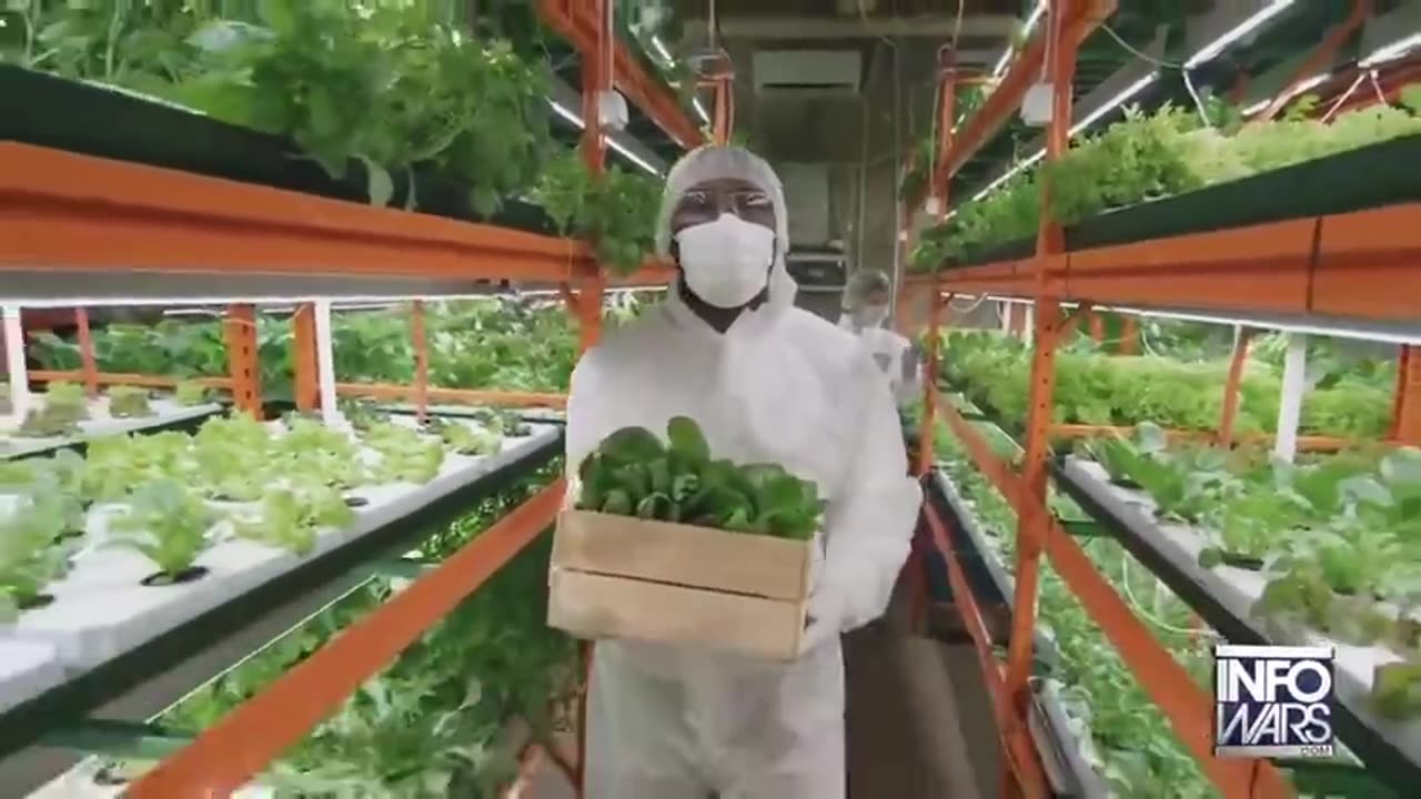 The WEF Hijacks The Food Supply