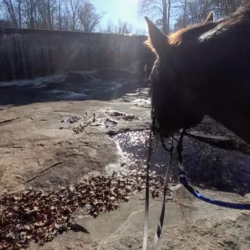 Beautiful day & beautiful Appy's!