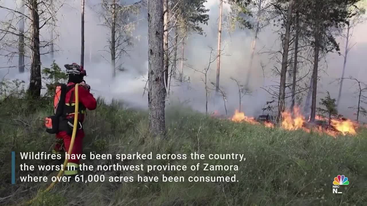 Heat Wave In Spain Sparks Raging Wildfires