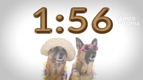 2 Minute Timer (DOG HEAVEN) 🐕