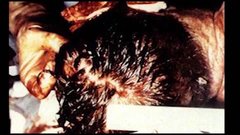 JFK 50 REASONS FOR 50 YEARS EP25