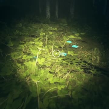 Move it or Lose it! Hunter Call of the Wild