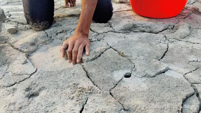 Amazing Fishing Technology😮Dry Place Searching Cat Fish Search Underground Hole