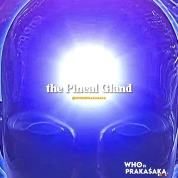 Pinnochio and the Pineal Gland