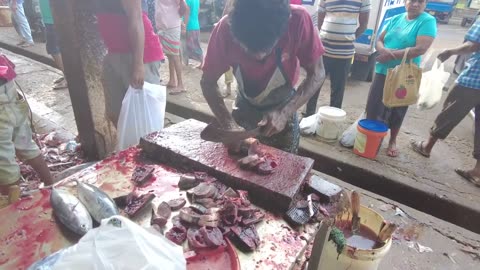 amazing fish cutting skills