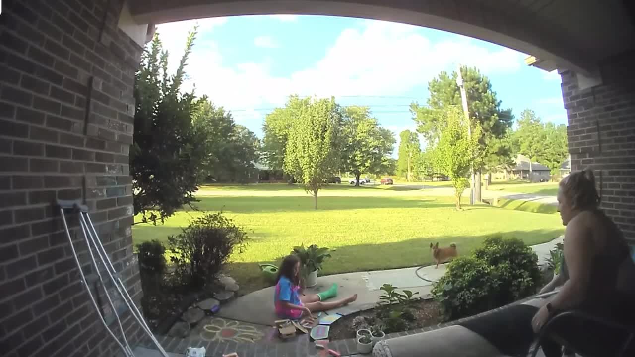 Lady Tripped Over a Rug Then Landed in the Bushes Leaving Kid and Dog Confused