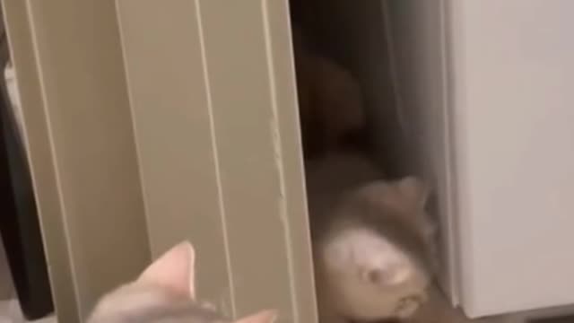 Hee hee, can't hit me mom! Am I super good?