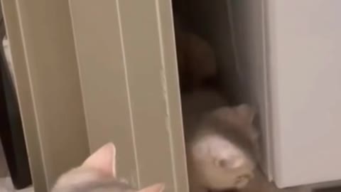 Hee hee, can't hit me mom! Am I super good?