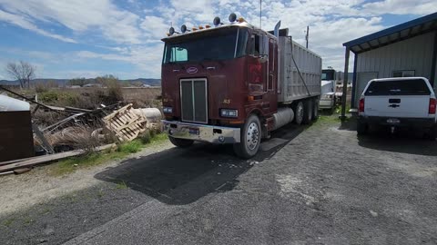 1985 Peterbilt 362 backing up.