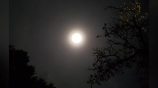 Full Blood Moon seen in the White mountains Arizona