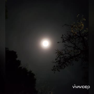 Full Blood Moon seen in the White mountains Arizona