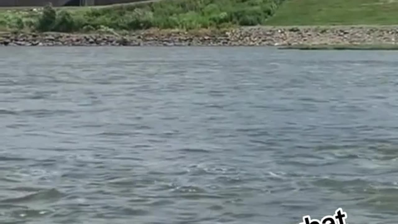 Helicopter kept spraying something in the water