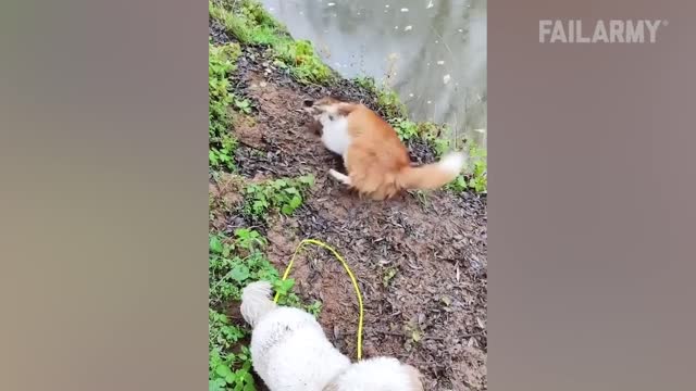 To escape from time