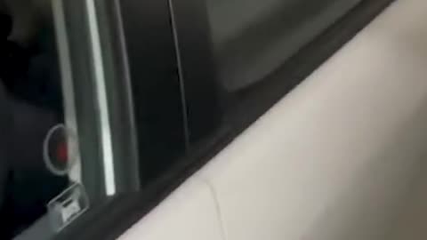 what do you do if an owl is in your car?