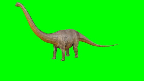 Long-necked herbivorous dinosaur on green background.