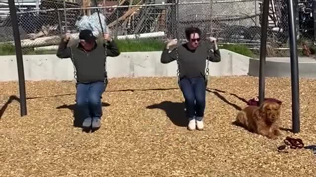 Two Men Enjoy Themselves on Swing While Dog Sits Next to Them on Ground