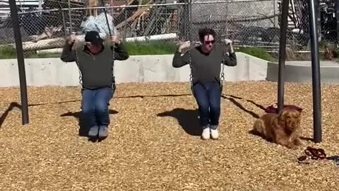 Two Men Enjoy Themselves on Swing While Dog Sits Next to Them on Ground