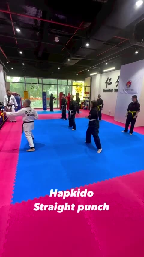 Hapkido